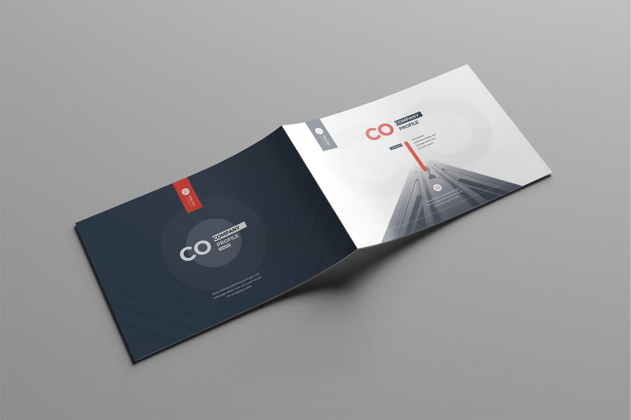 Nesh creatives company profile2