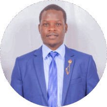 Eng. Nelson Mokoro